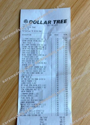 Dollar tree store payment receipt